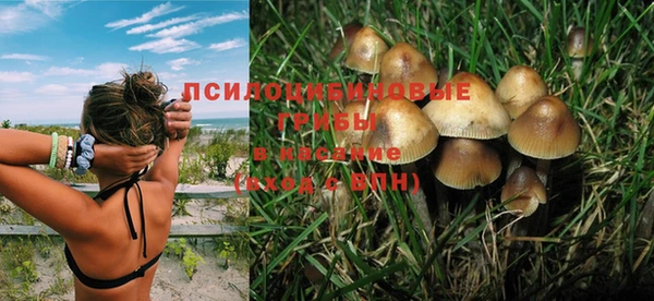 дмт Верхний Тагил