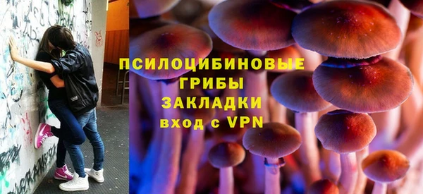 дмт Верхний Тагил